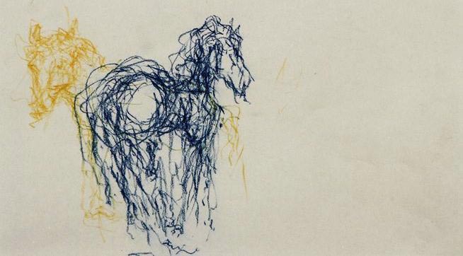 Zeichnung eines Pferdes